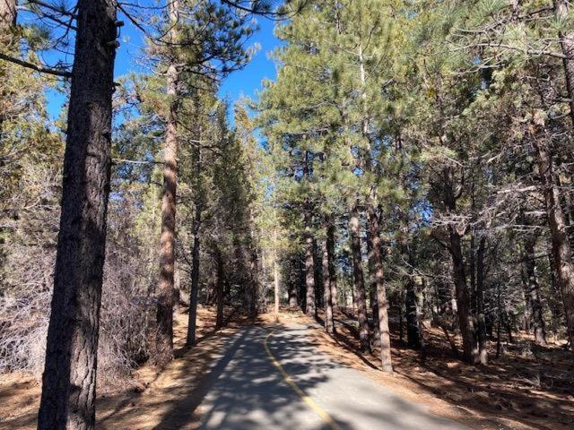 Villa The Fox Paw Big Bear Lake Exterior foto